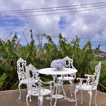Quinta Tallinus Funchal  Exterior photo